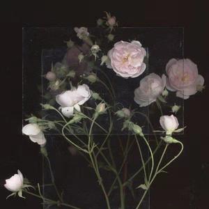 视频一区二区无码制服师生
